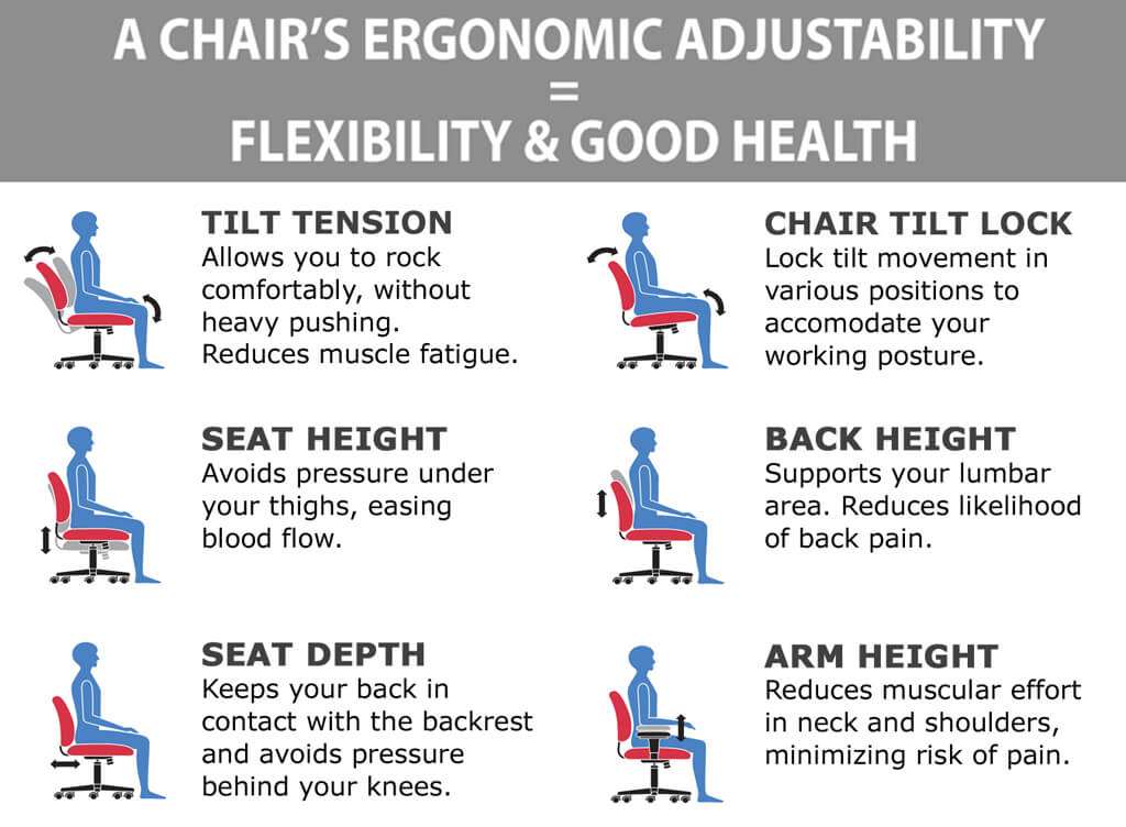 Ergonomic mesh office chair ergonomics Ergonomic mesh office chair ergonomics